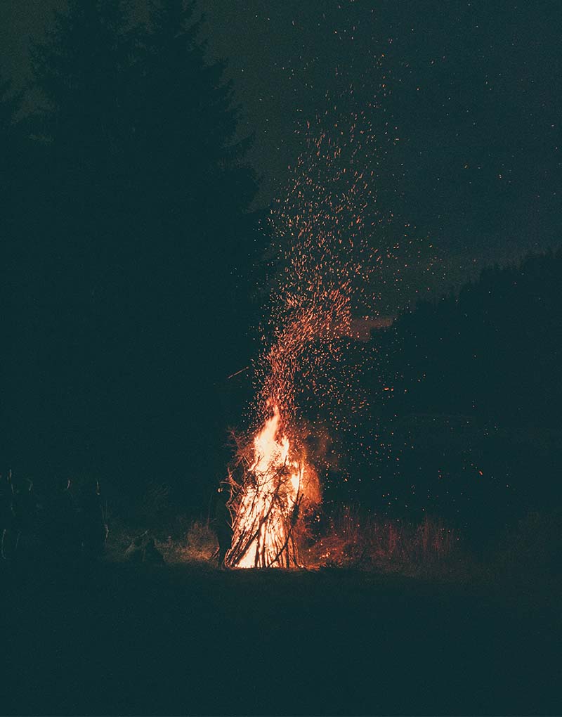 Next Level Script Coverage