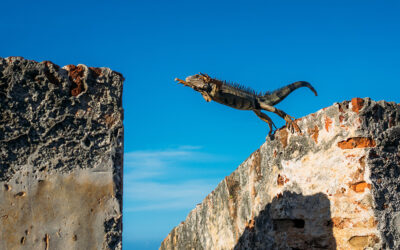 Taking the Leap: How Writers Overcome Fear to Embrace Truth