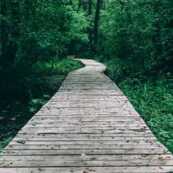 The Beginners Path by ProPath Screenwiting